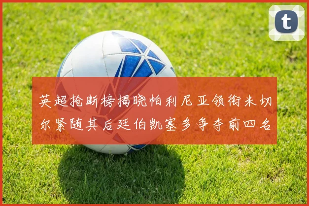 英超抢断榜揭晓帕利尼亚领衔米切尔紧随其后廷伯凯塞多争夺前四名