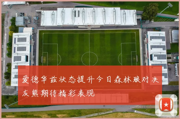 爱德华兹状态提升今日森林狼对决灰熊期待精彩表现