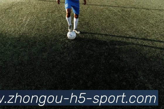 中欧体育全站App